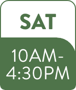 Saturday hours